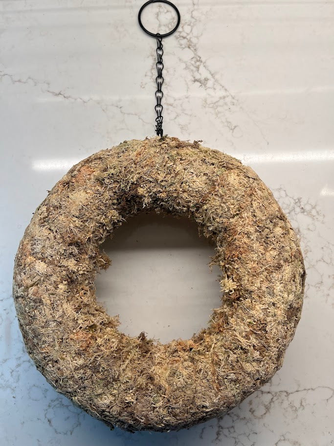 sphagnum moss for succulents SuperMoss (22341) Sphagnum Moss Living Wreath