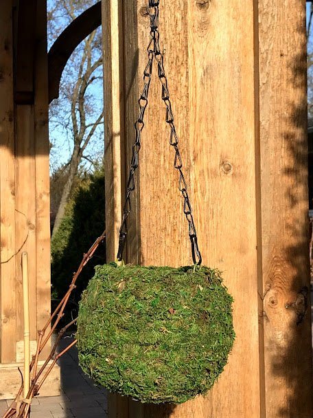 hanging orb sphere garden planter 6" MOSS Hanging BALL Planter