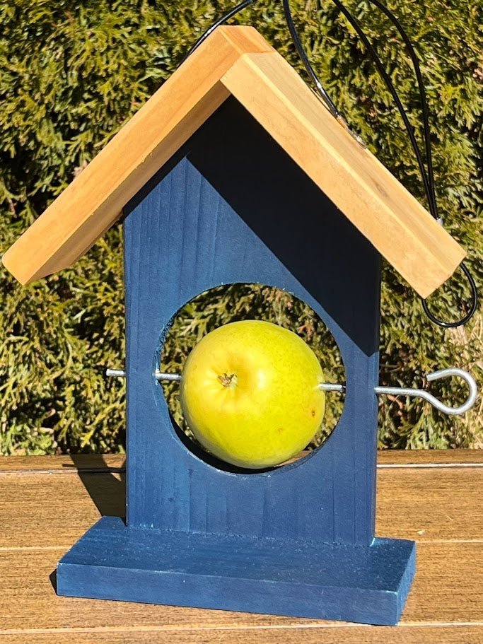 Fresh Fruit Bird Feeder for Apples and Oranges