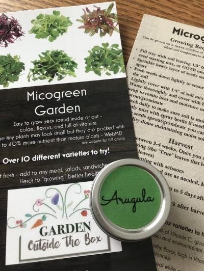 Arugula Microgreens - Garden Outside The Box
