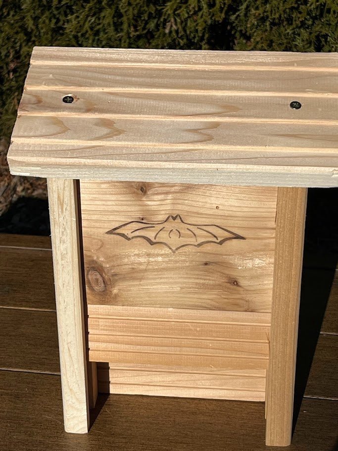 DIY Children's Bat House Kit - Garden Outside The Box