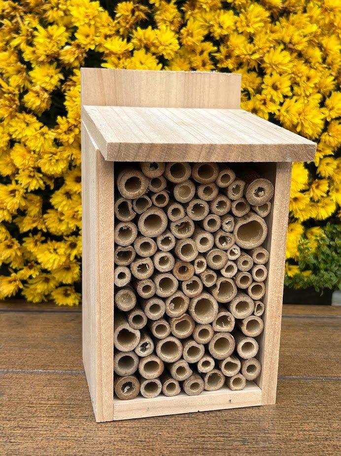 Simplepollinator Box Pollinators – Garden Outside The Box