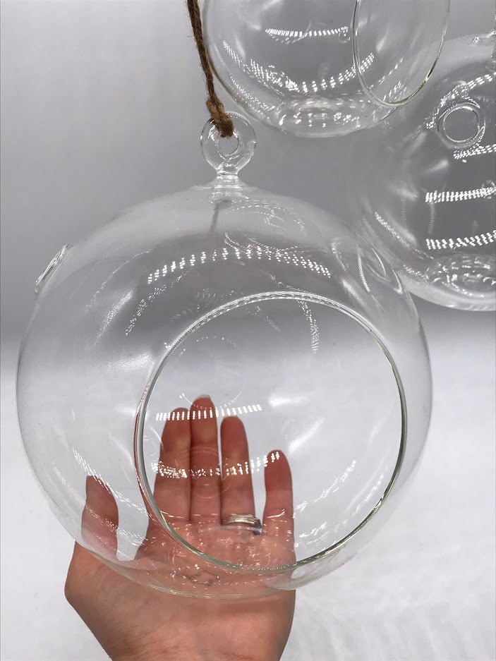 glass balls for air plants Hanging Glass Globe