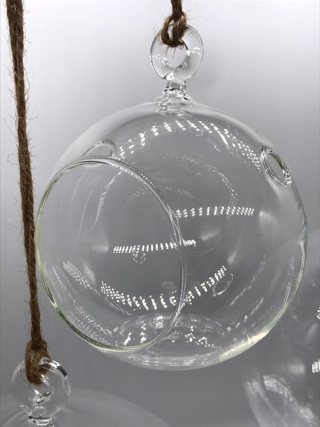 glass globe hanging planter Syndicate Hanging Terrarium Round