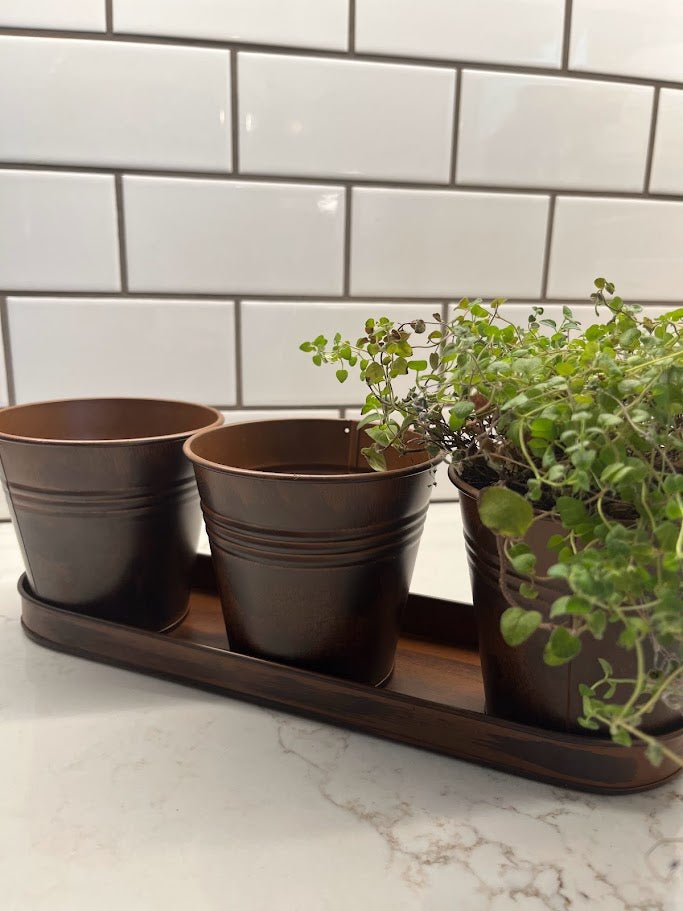 windowsill planter indoor uk Gardener's Select Farmhouse Round Pot & Tray Set, Rusty, 12.5in