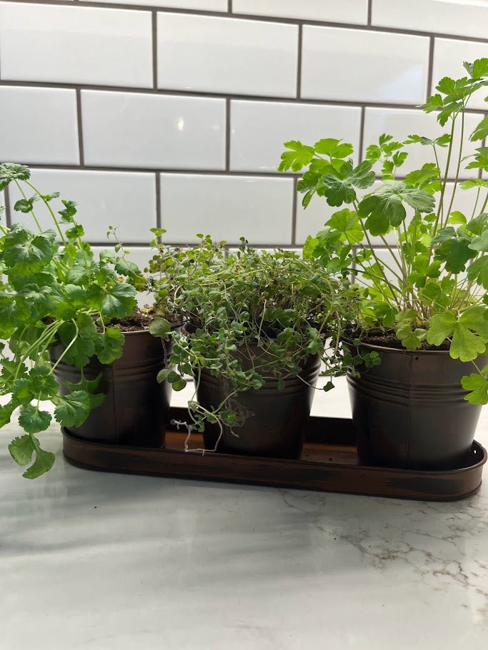 3 pot herb planter Gardener's Select Farmhouse Round Pot & Tray Set, Rusty, 12.5in