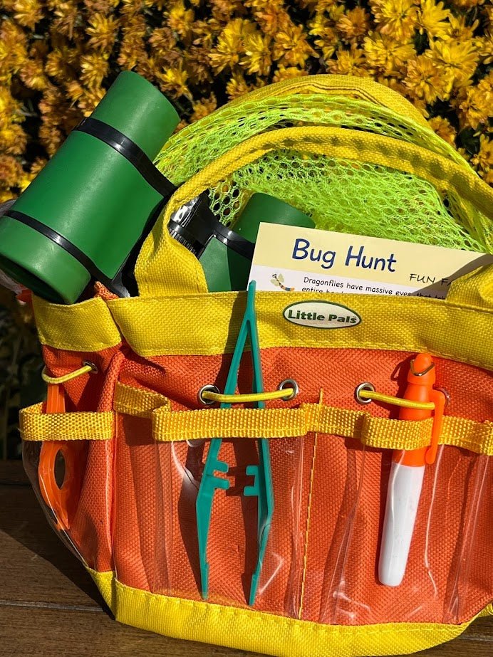 Bug Hunt Kit Children's Insect Observation Kit - Garden Outside The Box