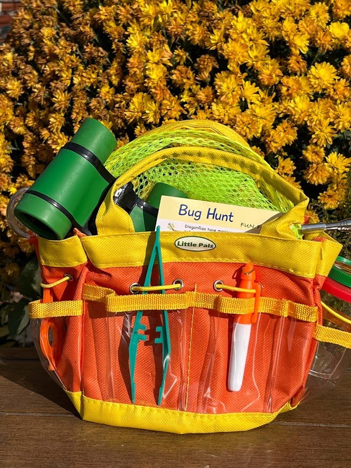 Children's Insect and Bug Observation Kit 