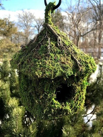 CABIN - Natural MOSS & Stick Birdhouse - Garden Outside The Box