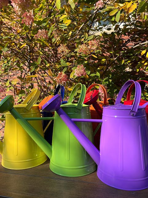 Colorful Large Watering Can