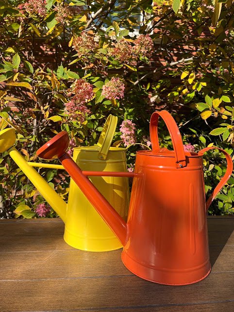 Colorful Large Watering Can
