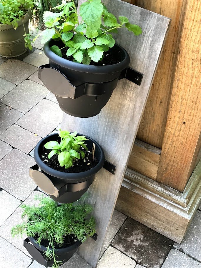vertical wall planter indoor Vertical Wall Planter