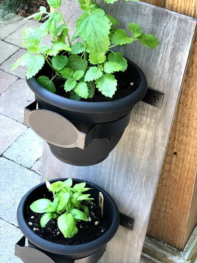 Vertical Wall Planter