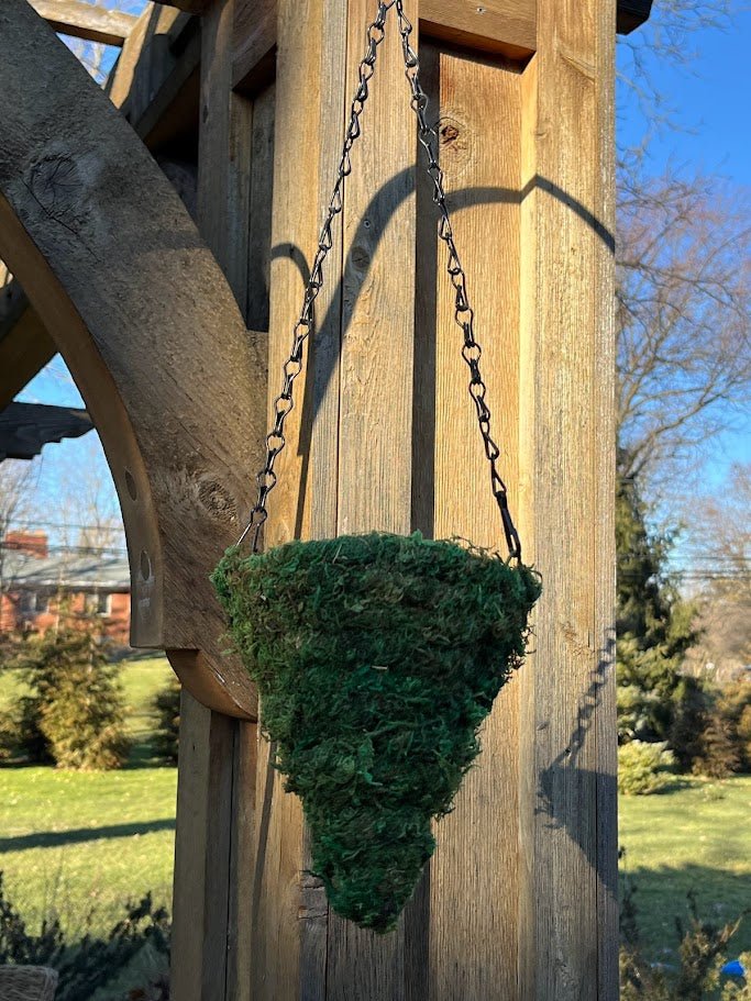 6" MOSS Hanging Basket - Circle Cone