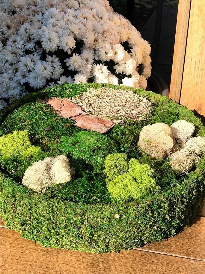Fairy Garden Moss Basket Kit – Lehua's Forest, Flower Arrangements & Fruit  Trees