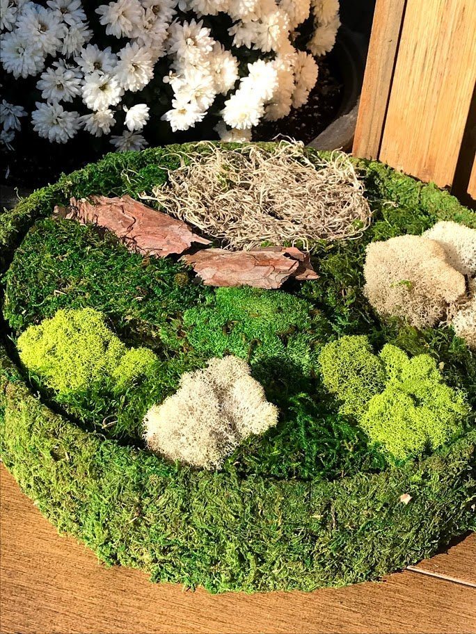 DIY Fairy Garden Preserved Moss Kit - Garden Outside The Box