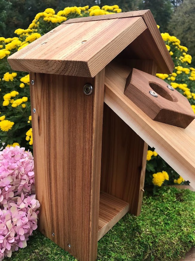 Wooden Birdhouse for Window Viewing