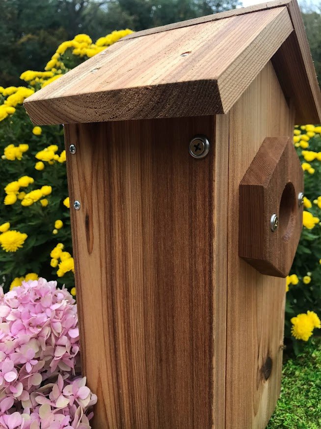 Wooden Birdhouse for Window Viewing