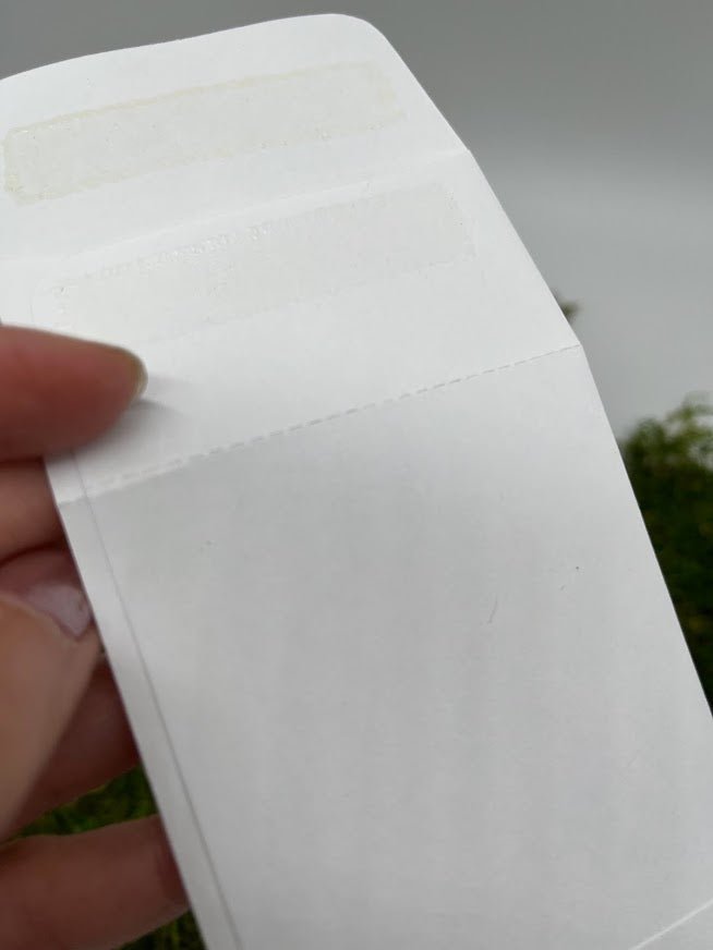 White self sealing seed saving envelopes