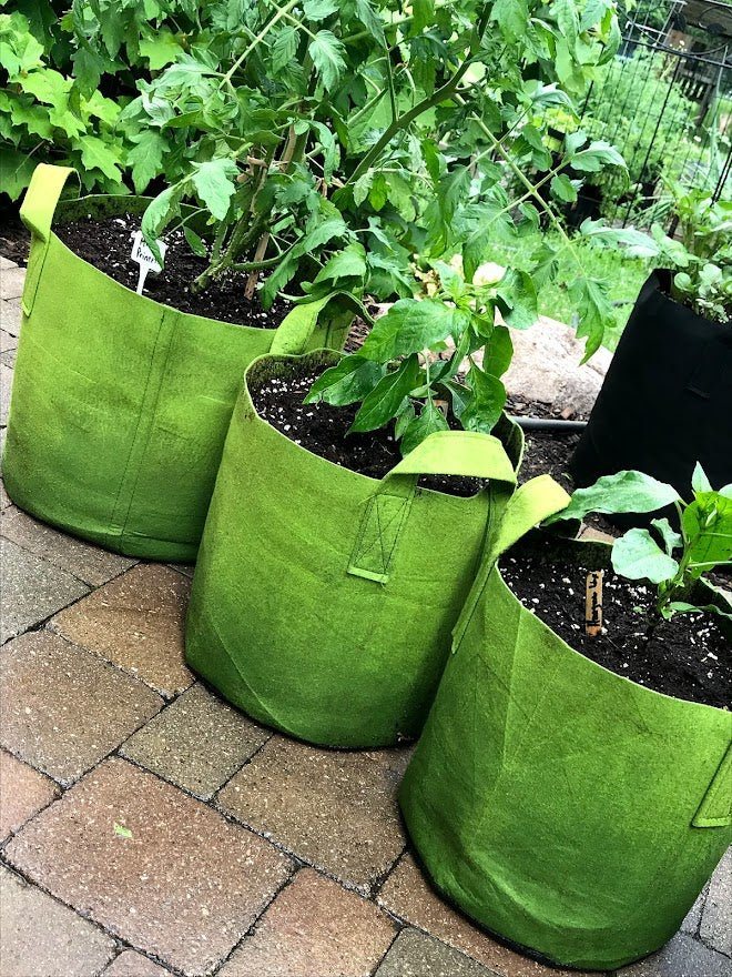 https://www.gardenoutsidethebox.com/cdn/shop/products/fabric-planters-grow-bags-garden-outside-the-box-147203-165734.jpg?v=1644853409