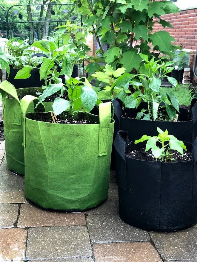 Fabric Planters - Grow Bags - Garden Outside The Box
