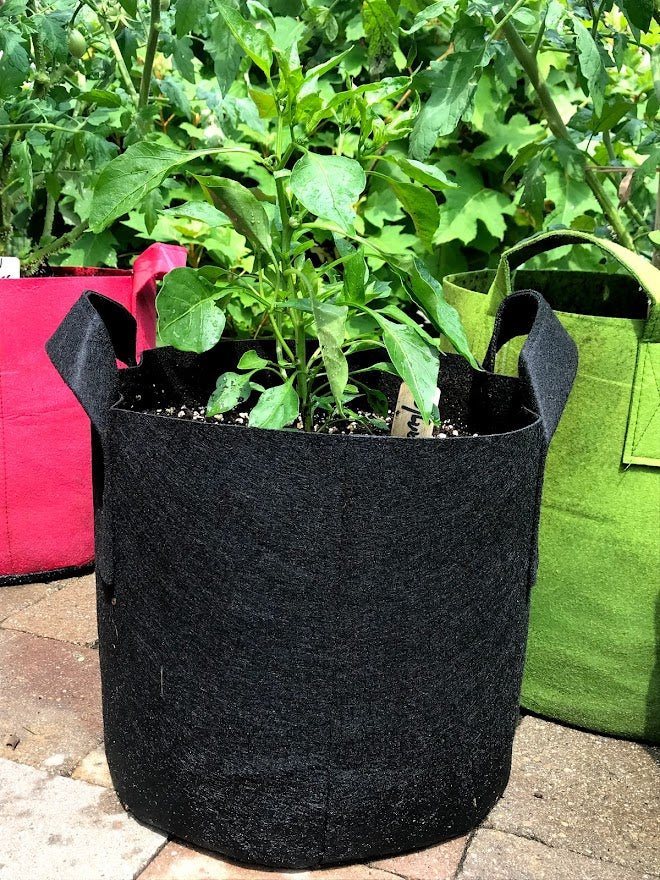 https://www.gardenoutsidethebox.com/cdn/shop/products/fabric-planters-grow-bags-garden-outside-the-box-393795-884637.jpg?v=1644853409