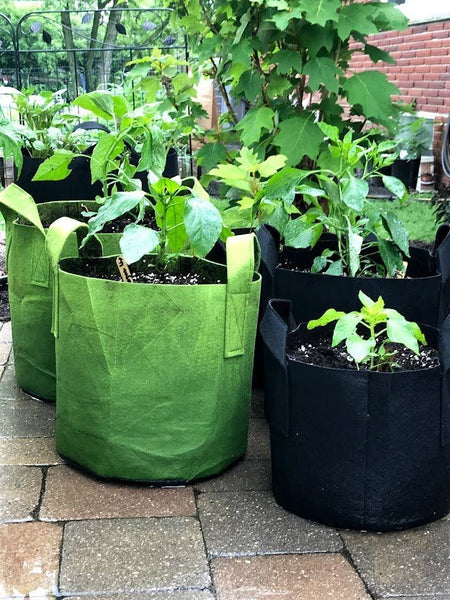 https://www.gardenoutsidethebox.com/cdn/shop/products/fabric-planters-grow-bags-garden-outside-the-box-970168_grande.jpg?v=1644596344