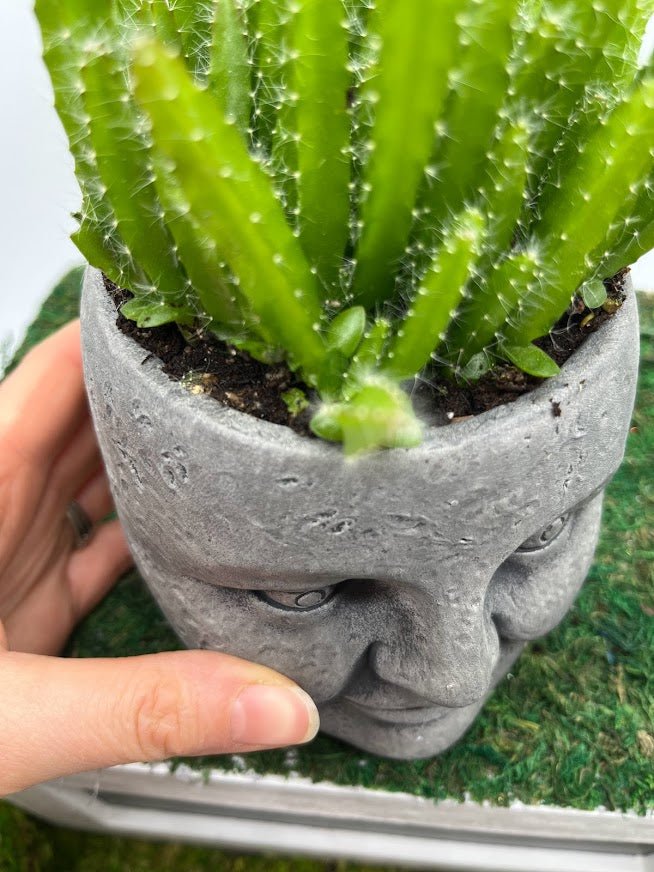 Ceramic Planter with Face