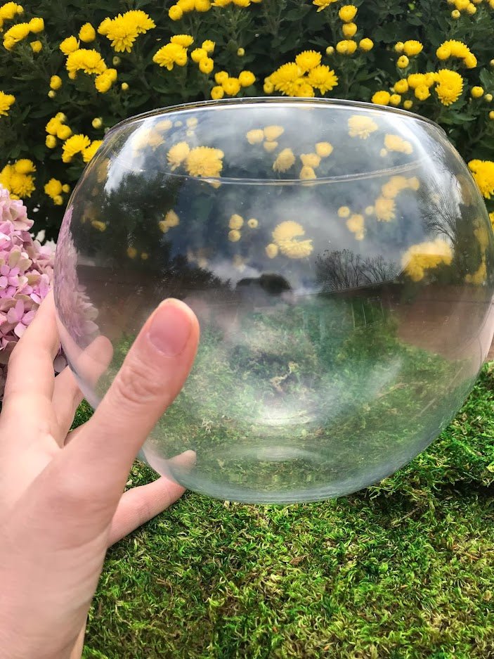 Terrarium Medium 7.5" Glass Globe