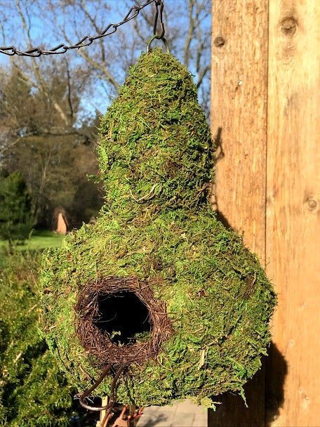 GOURD - Natural MOSS & Stick Birdhouse - Garden Outside The Box