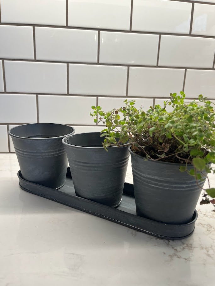 Gray Trio Windowsill Herb Planter - Garden Outside The Box