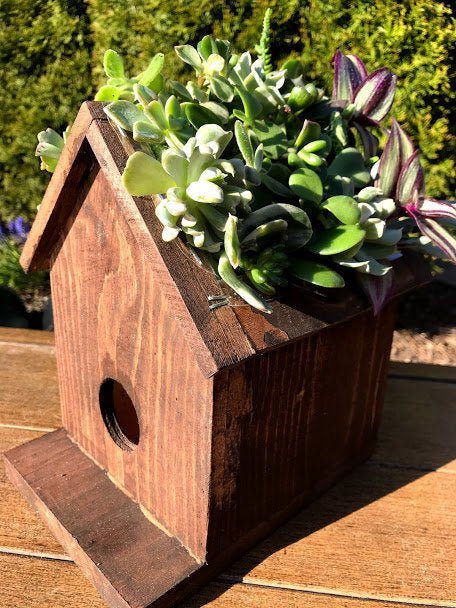 birdhouse succulent planter SuperMoss Large Birdhouse Plantable Jade