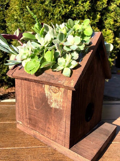 plant pot bird house SuperMoss Large Birdhouse Plantable Jade