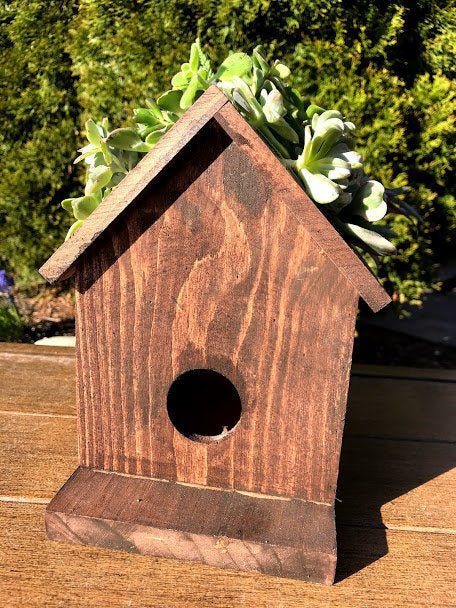 birdhouse with succulent roof SuperMoss Large Birdhouse Plantable Jade