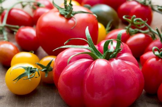 Heirloom Tomato Garden Kit