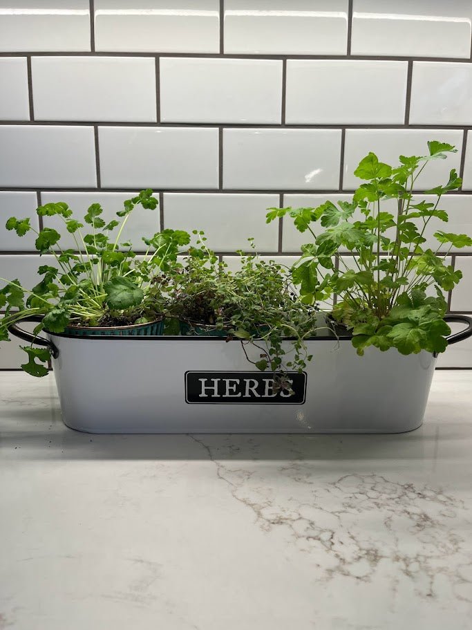 windowsill planter indoor Panacea 16" Milkhouse Herbs Short Oval Planter