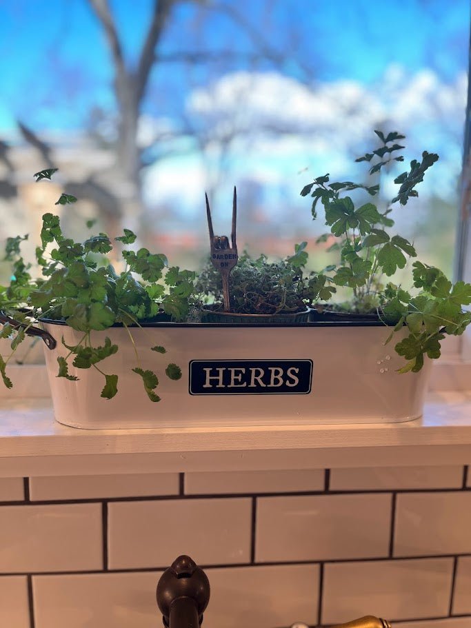 kitchen herb garden windowsill planter with seeds Panacea 16" Milkhouse Herbs Short Oval Planter