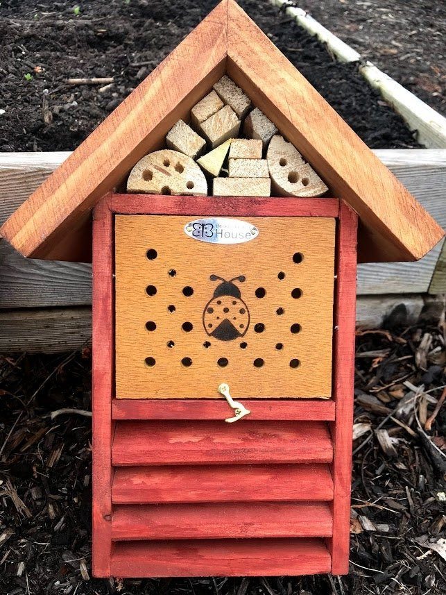 Ladybug and Pollinator House - Garden Outside The Box