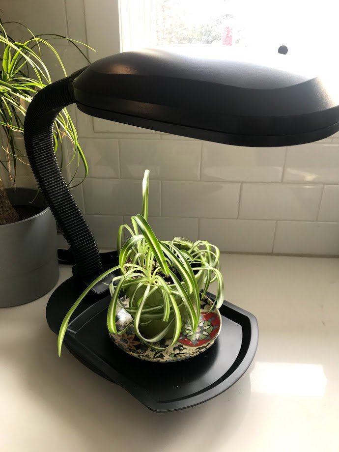 LED Desk Top Grow Light - Garden Outside The Box