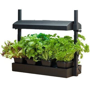 tabletop plant grow light SunBlaster LED Grow Light Micro Garden