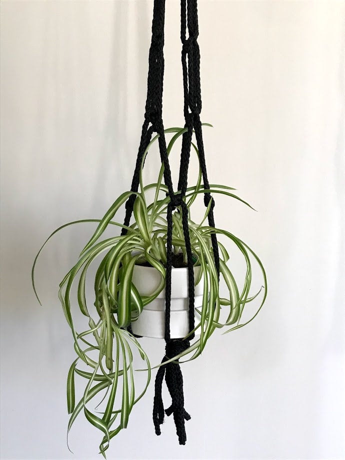 plant hanger box Primitive Planters 36 in. Macrame Plant Hanger