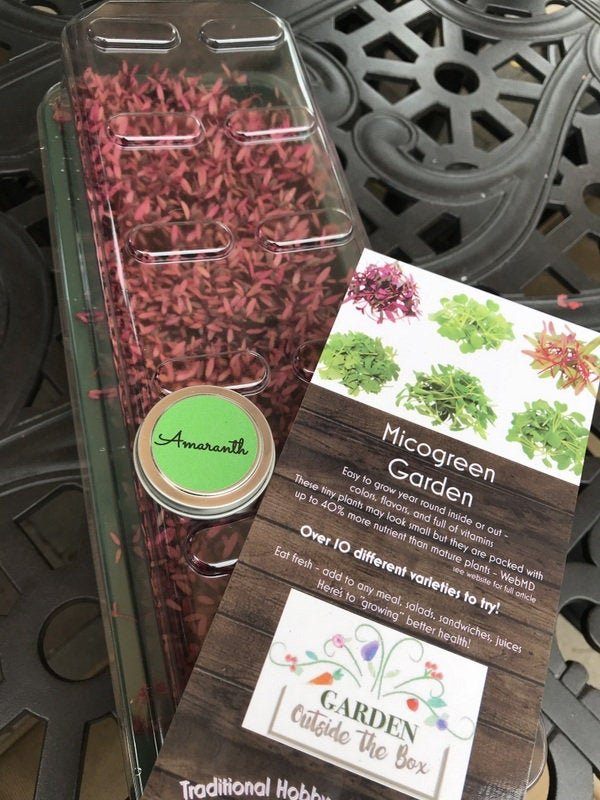 Microgreens Starter Kit - SMALL - Garden Outside The Box