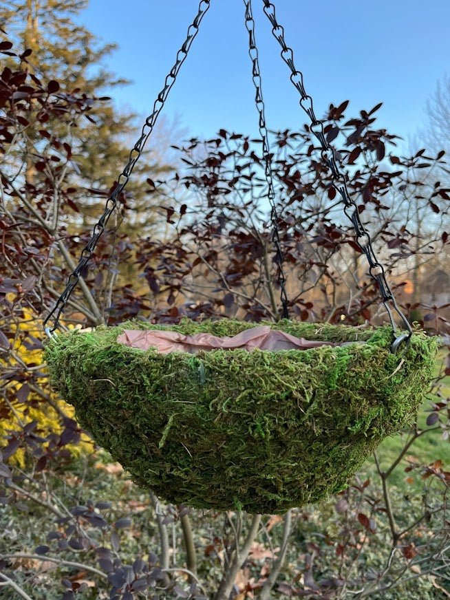 Natural Moss 12" Hanging Basket