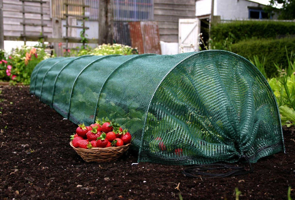 Insect Netting Low Tunnel