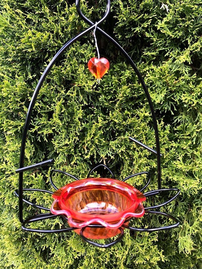 ORIOLE Feeder Dish - Jelly & Oranges - Garden Outside The Box