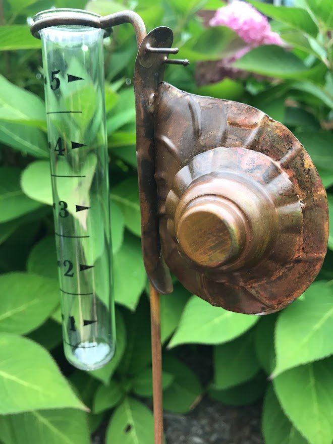 Rain Gauge - Snail - Garden Outside The Box