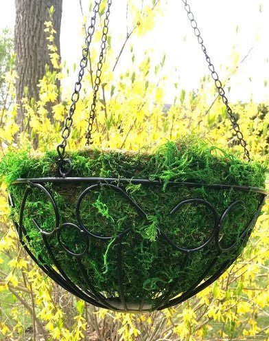 14" Metal and Moss Round Hanging Basket