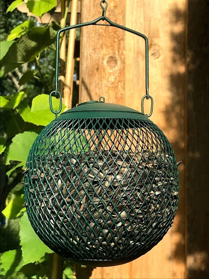 Seed Ball Bird Feeder - Garden Outside The Box