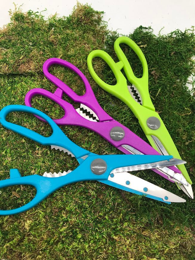 garden herb scissors Bloom Stainless Steel Household Shears