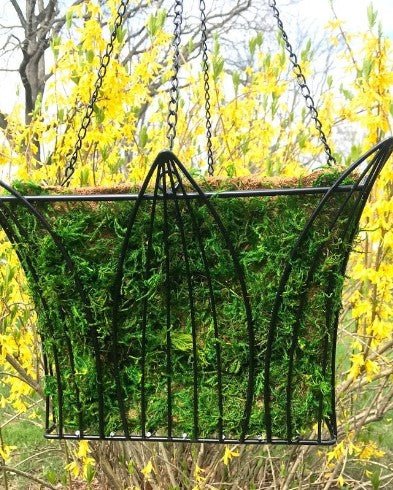 14" Metal and Moss Square Hanging Basket